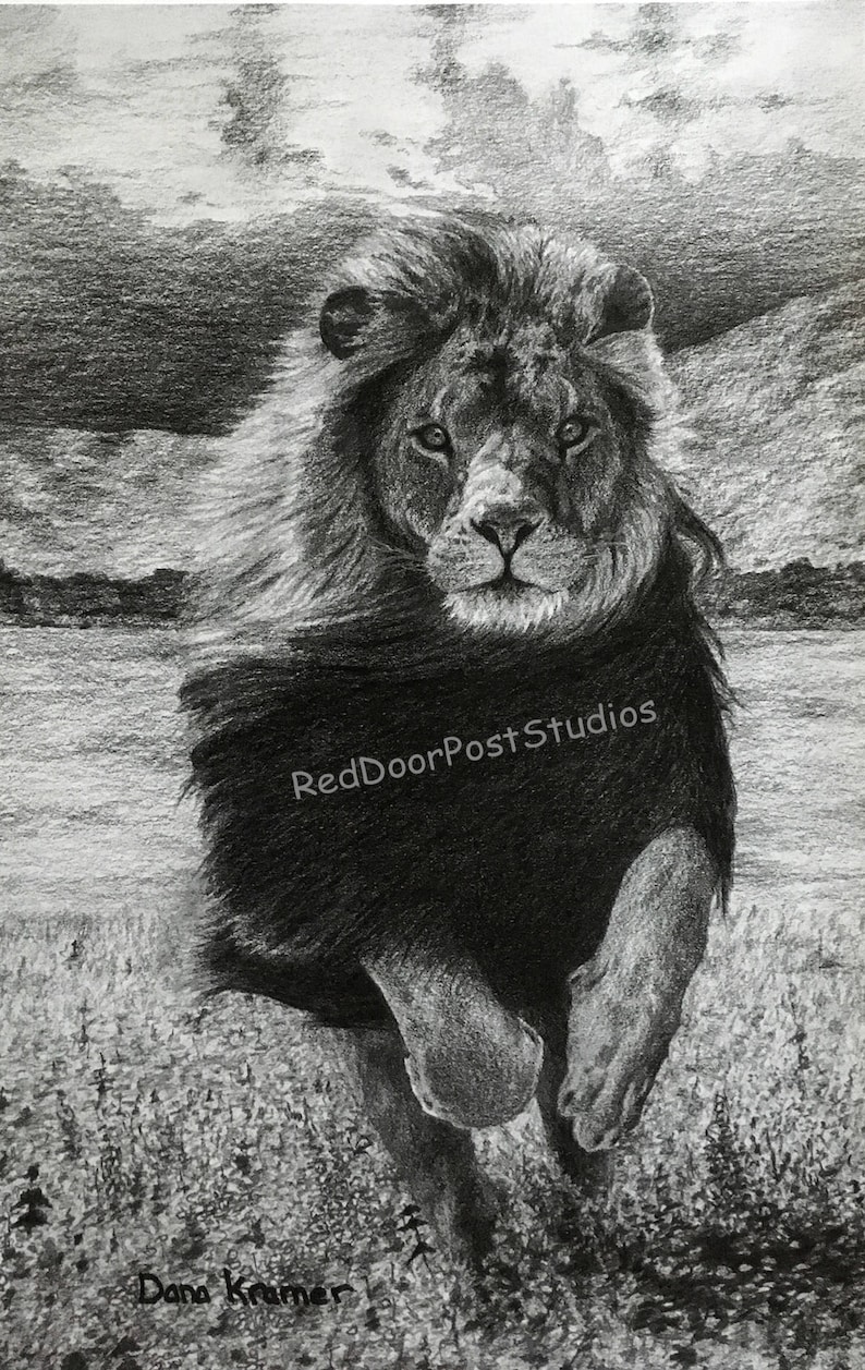 Limited Edition Fine Print of Lion Running 11 x 17 image 1