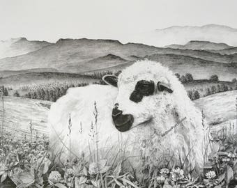 Limited Edition Fine Print of an original drawing of a lamb