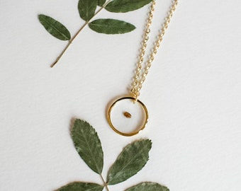 Vergeet-me-niet-zaadketting, gold filled of sterlingzilveren ketting