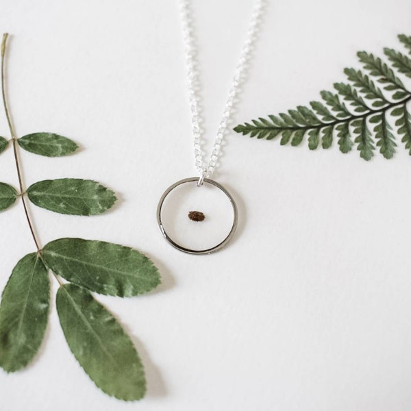 Forget Me Not Seed Necklace