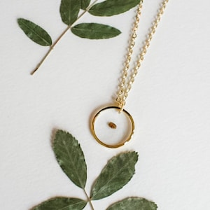 Forget Me Not Seed Necklace, Gold Filled or Sterling Silver Chain