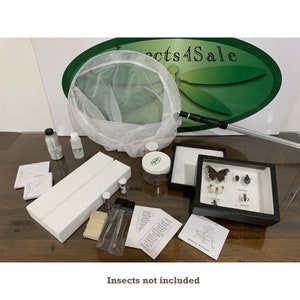 Insect Collecting Kit - deluxe model