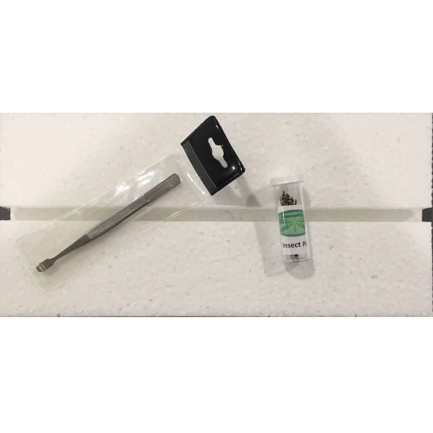 Butterfly Mounting Board Kit Etsy