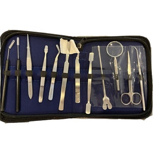 May include: A set of stainless steel medical instruments, including tweezers, probes, and a mirror, neatly arranged in a blue zippered case. The instruments are secured with black elastic bands against a blue fabric background.
