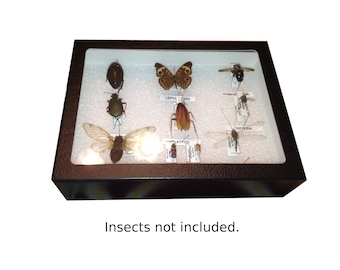 Insect Display Case - Bug Display Box With Glass Window  (8 x 6 x 3 inches)