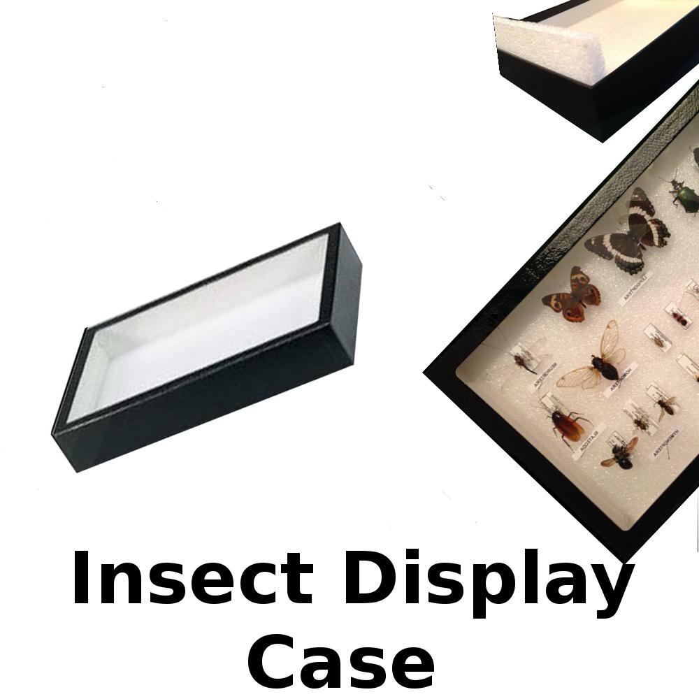 Insect Collecting Kit - Deluxe Model - Etsy