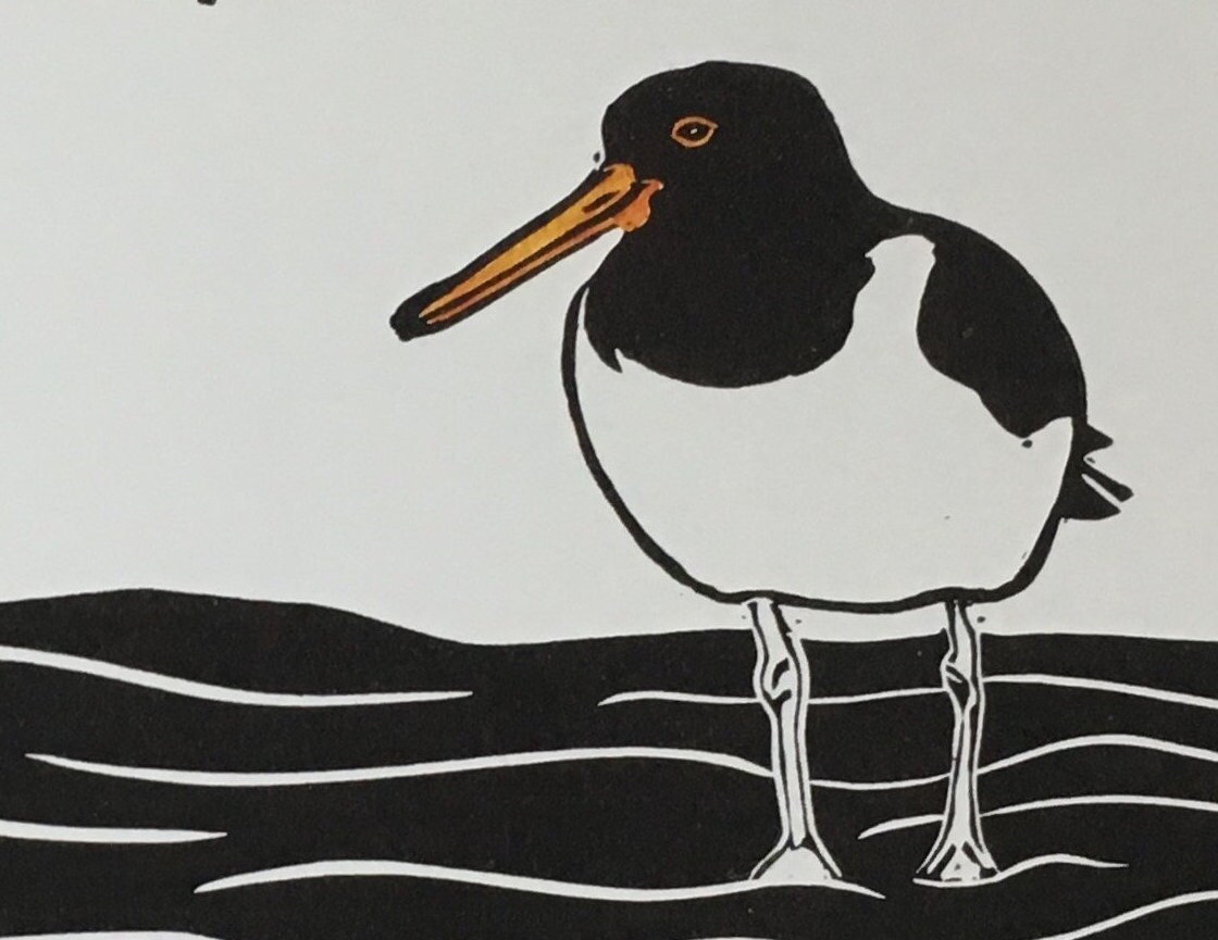 Oyster Catcher Art Print From an Original Lino Print Etsy UK