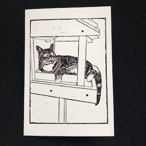 Tabby cat in a bird table - greetings card