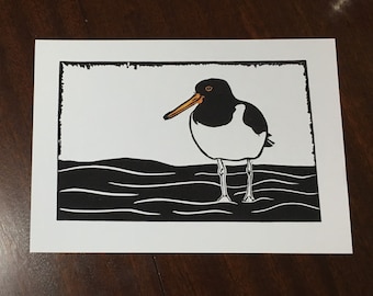 Oyster catcher Art print - from an original lino print