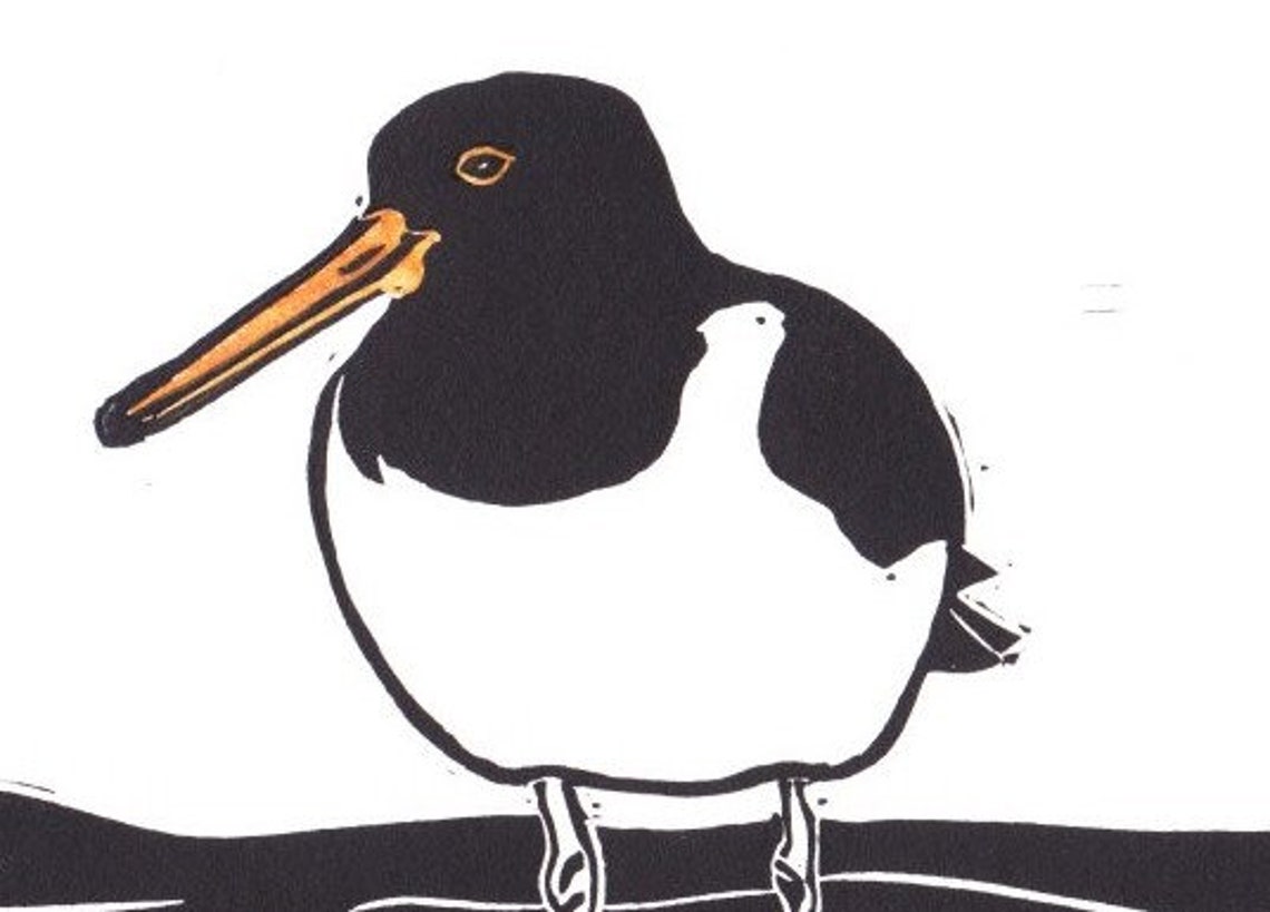 Oyster Catcher Greetings Card From Lino Print Etsy