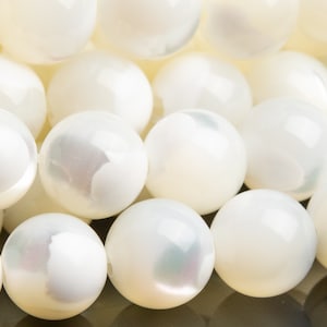 Trochidae Shell Gemstone Beads 6MM White Round AAA Quality Loose Beads (102897)