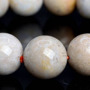 Genuine Natural Coral Fossil Gemstone Beads 14MM Gray Round A Quality Bracelet (103163)