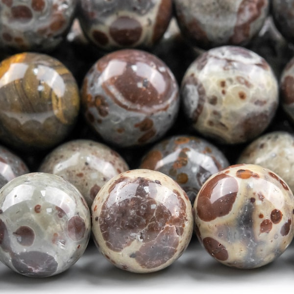 Genuine Natural Asteroid Jasper Gemstone Beads 10MM Brown Round AAA Quality Loose Beads (117840)