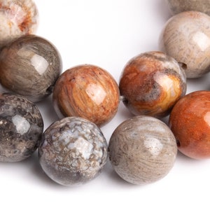 Genuine Natural Coral Fossil Jasper Gemstone Beads 8MM Multicolor Round AAA Quality Loose Beads (113026)