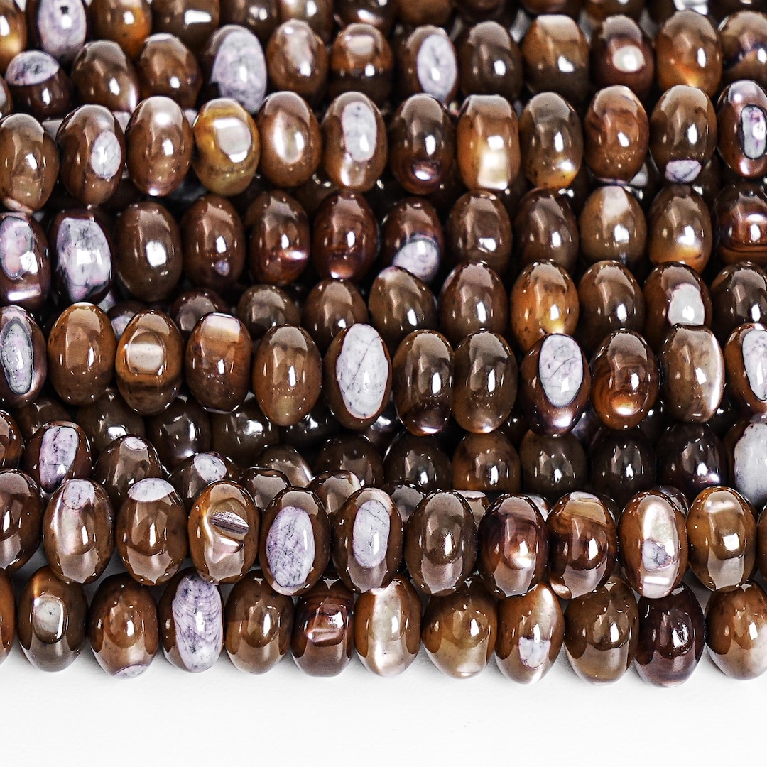 Genuine Natural Trochidae Shell Gemstone Beads 6X4MM Brown Rondelle ...