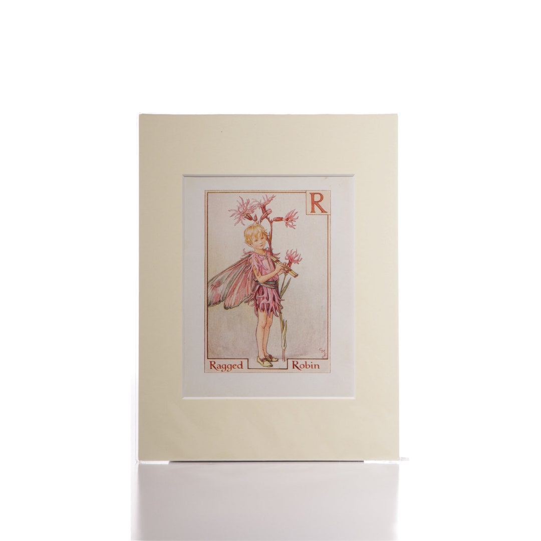 ragged-robin-flower-fairies-mounted-picture-from-1940s-children-s