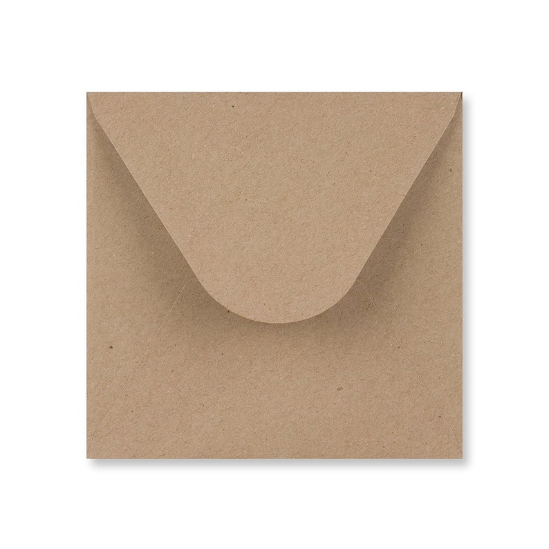 May include: A brown paper envelope with a flap.