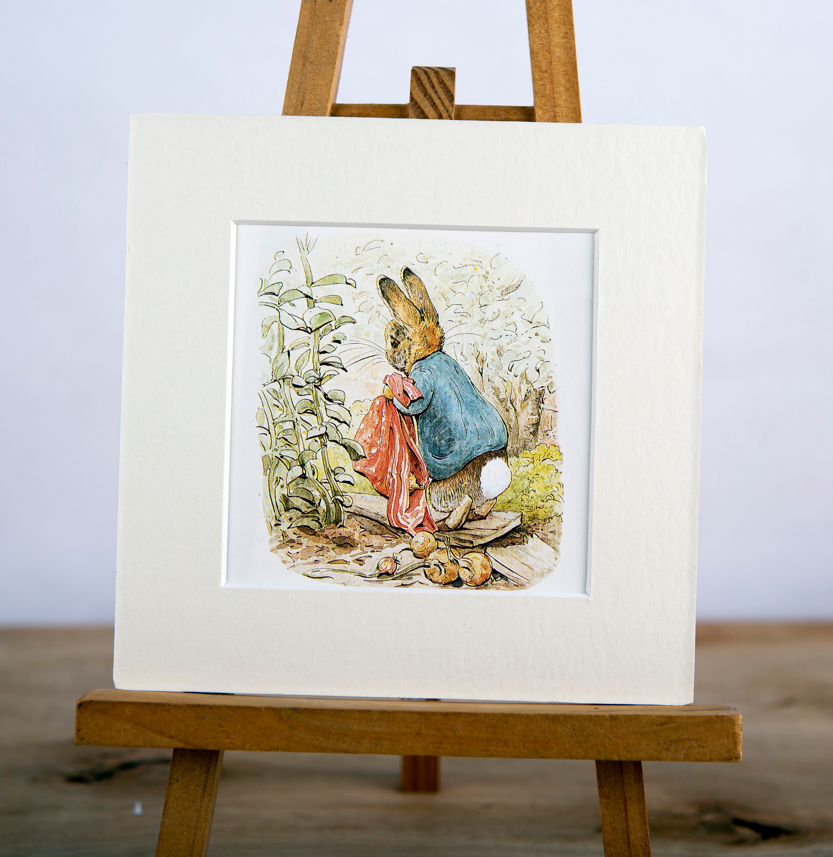 Peter Rabbit, cuadro original en color vintage montado de Beatrix Potter, cuento de Benjamin Bunny, 6 x 6, de un libro reciclado.