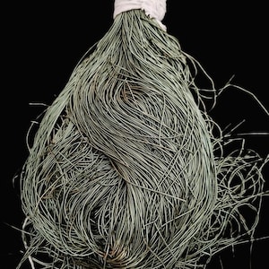 May include: A collection of thin, grey-green wires bound with a white fabric band. The wires are tightly packed, forming a textured, organic shape against a black backdrop. White string extends from the top of the bundle.