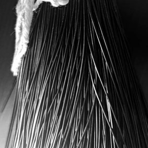 May include: A close-up of a black broom with a white handle. The bristles are tightly packed and arranged in a radial pattern.