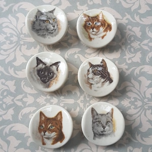 Vintage set of six cat casein buttons.