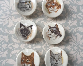 Vintage set of six cat casein buttons.