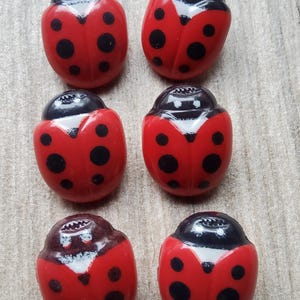 Può includere: Sei bottoni rossi a forma di coccinella, con pois neri e teste nere, sono disposti su una superficie marrone chiaro. I bottoni sono realizzati in materiale lucido e hanno una forma arrotondata.