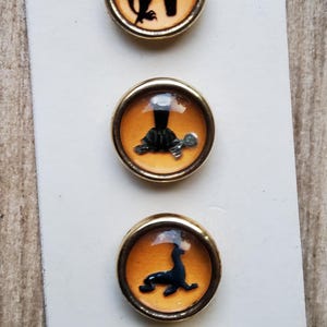 May include: Four round, gold-rimmed buttons with different animal illustrations. Each button has a clear, glass-like dome over the image. The animals are a toucan, a turtle, a seal, and a rabbit.