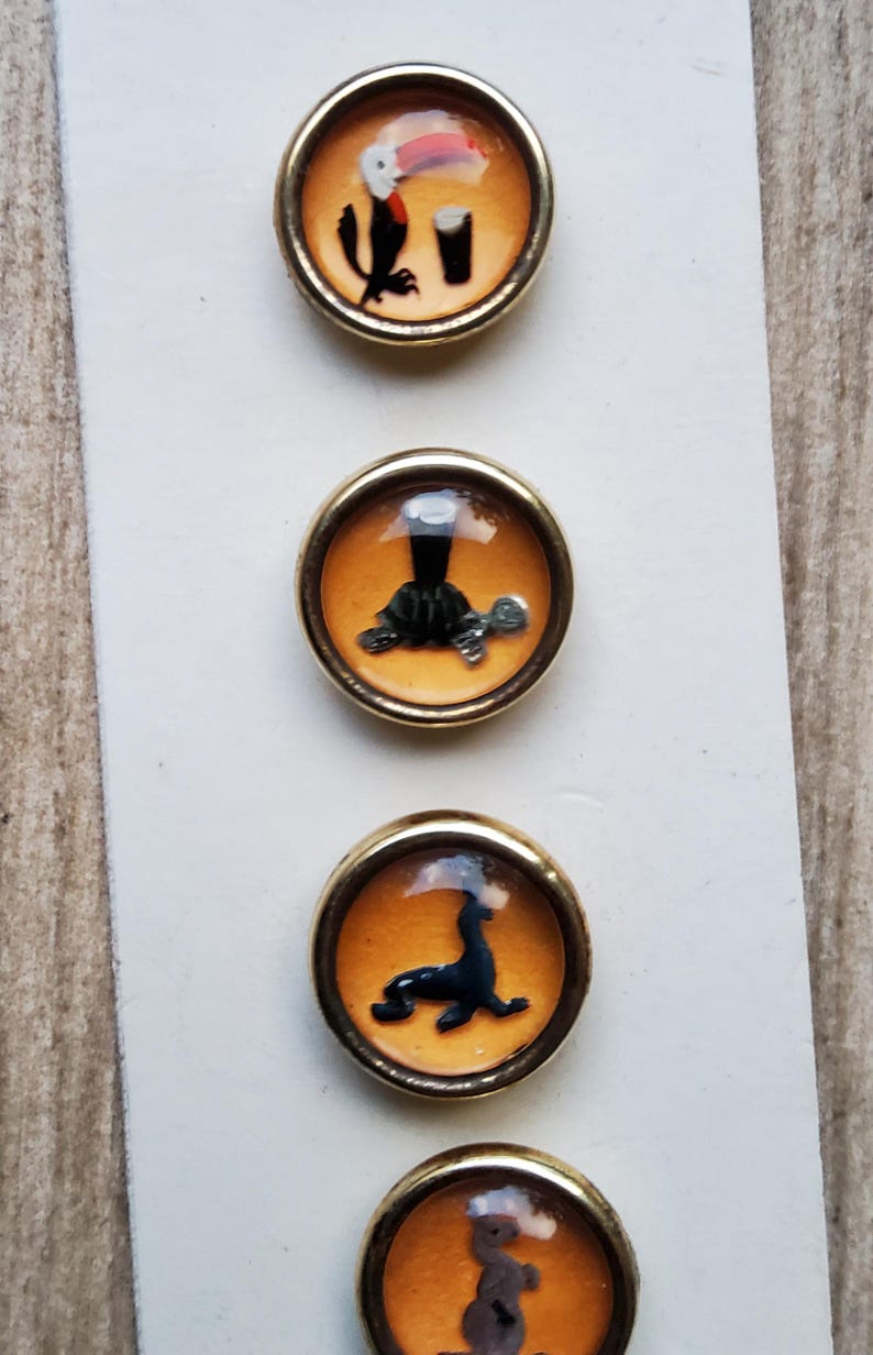 May include: Four round, gold-rimmed buttons with different animal illustrations. Each button has a clear, glass-like dome over the image. The animals are a toucan, a turtle, a seal, and a rabbit.
