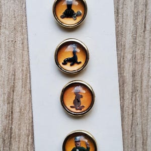 May include: Six round, gold-rimmed buttons with different images inside. The images include a toucan, a turtle, a scorpion, a kangaroo, a man with a microphone, and a bird.