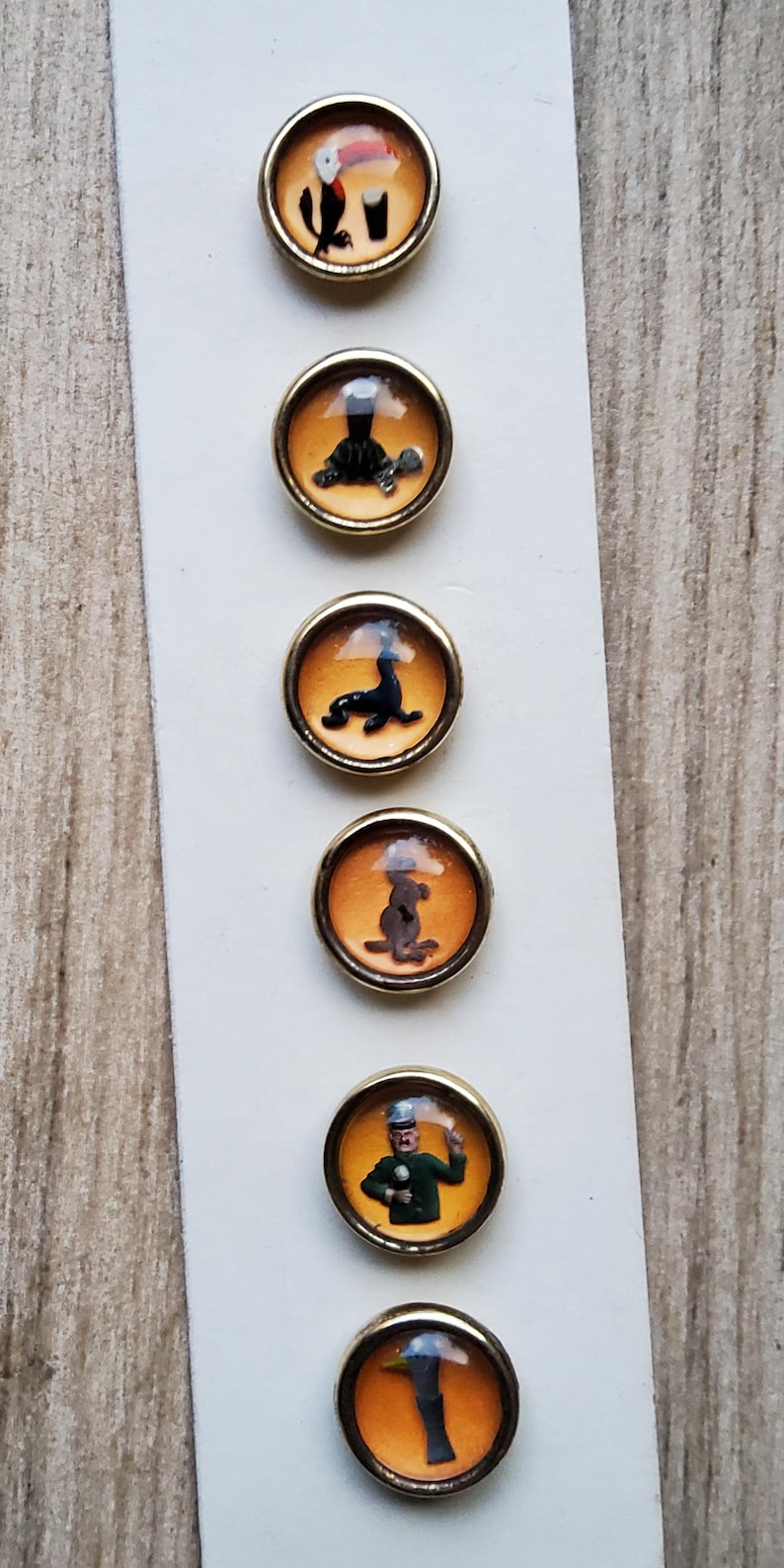 May include: Six round, gold-rimmed buttons with different images inside. The images include a toucan, a turtle, a scorpion, a kangaroo, a man with a microphone, and a bird.