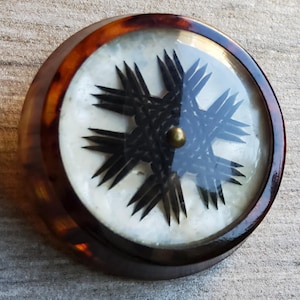May include: A round, tortoiseshell-coloured button with a clear plastic dome. Inside the dome is a black, star-shaped design with a gold centre.