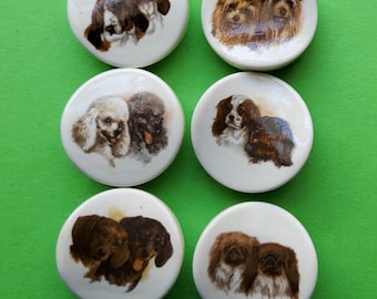 Vintage set of six casein dog buttons.