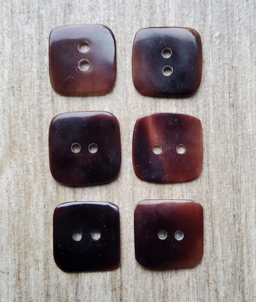 Vintage Set of Six Natural Penn Shell Buttons. - Etsy