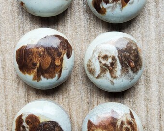 Vintage set of six casein dog buttons.