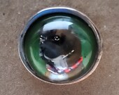 Vintage 1900 39 s hand painted glass dog 39 s head button.