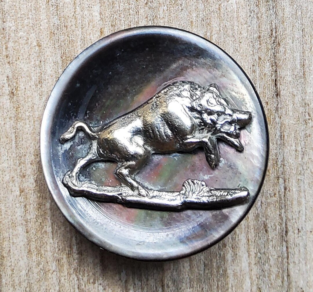 Early 1900's Mother of Pearl Wild Boar Sporting Button. - Etsy