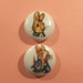Two large Beatrix Potter buttons.