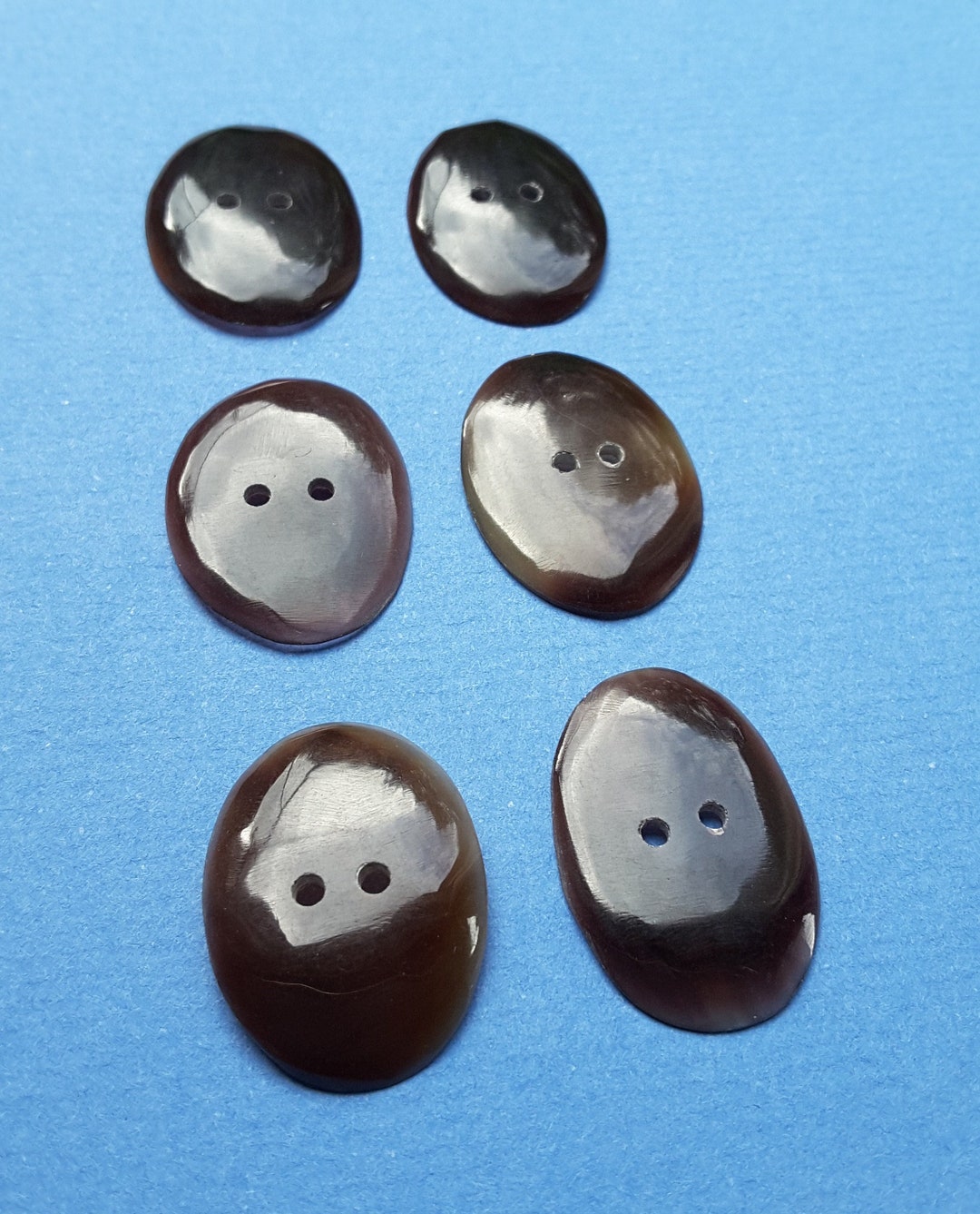 Vintage Set of 6 Natural Penn Shell Buttons. - Etsy
