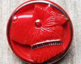 Vintage large 1920's red glass Scottie dog button.