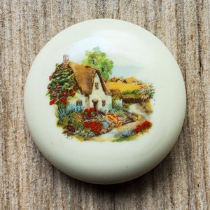 Vintage large casein cottage button. image 1