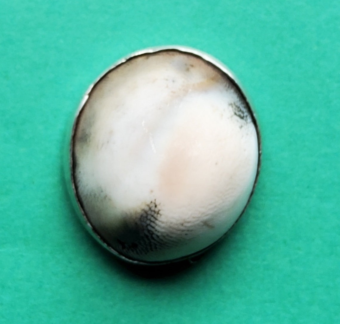 Antique Victorian Operculum Shell Button. - Etsy