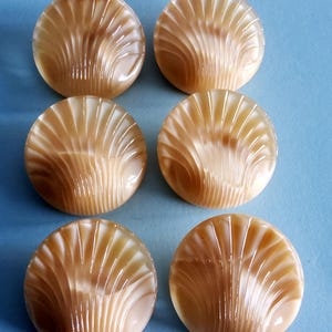 Seis botones vintage grandes de concha de cristal con efecto resplandor lunar checo.