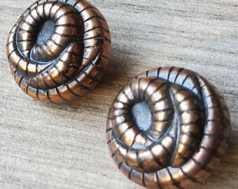 Vintage pair of 1920-30's coiled worm buttons.