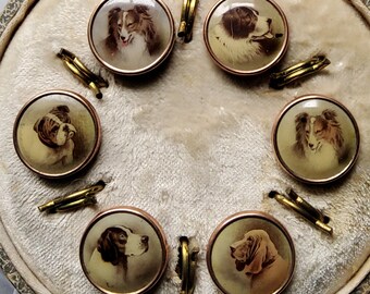 Vintage 1900's boxed set of six dog waistcoat buttons.