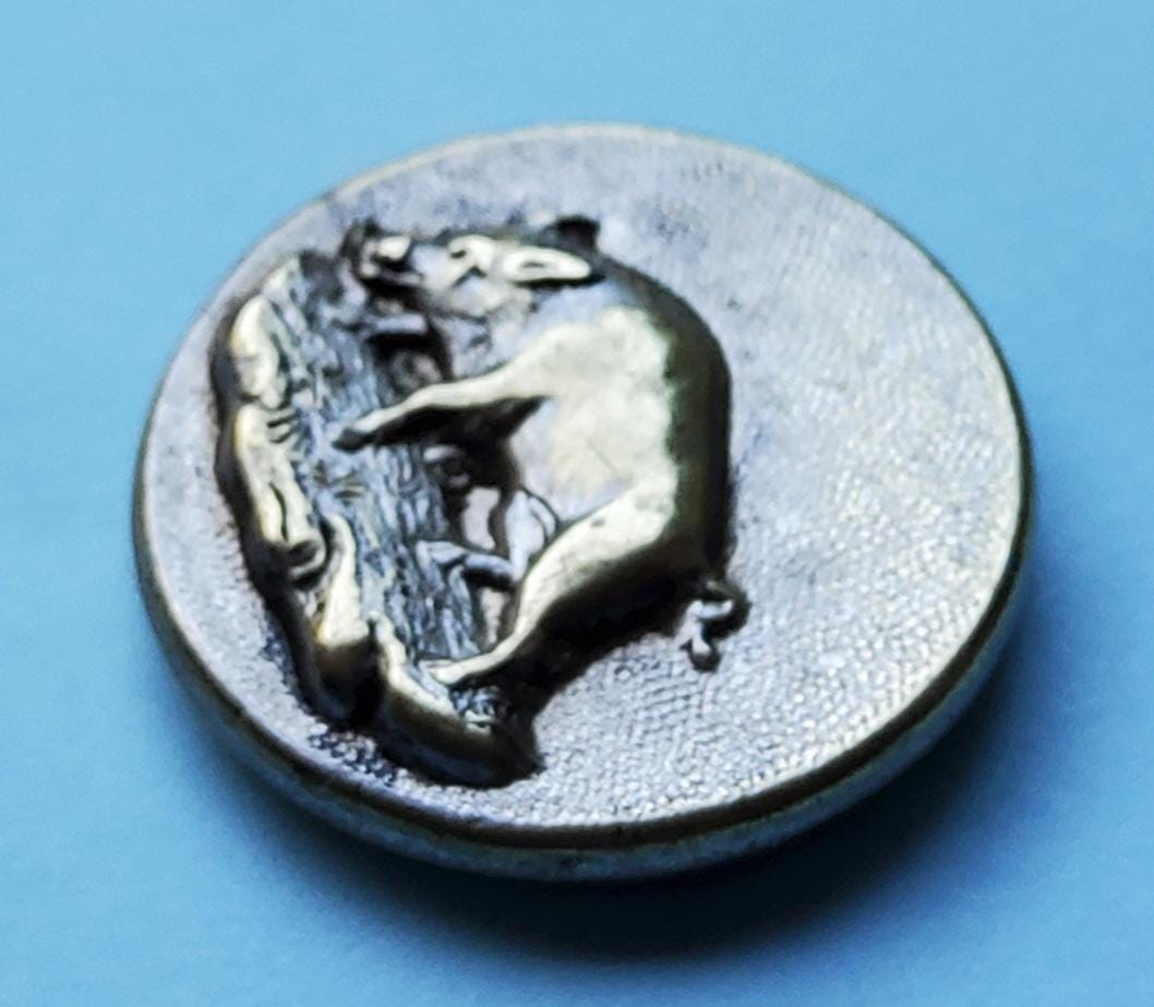 Vintage Early 1900's Paris Wild Boar Sporting Button. - Etsy