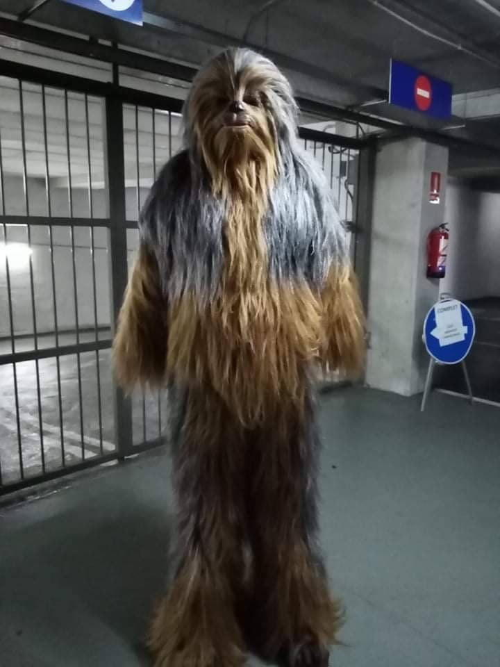 Chewbacca coat online