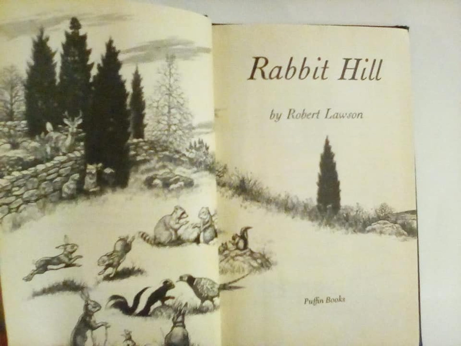 Vintage book children books chapter books Rabbit Hill book Etsy
