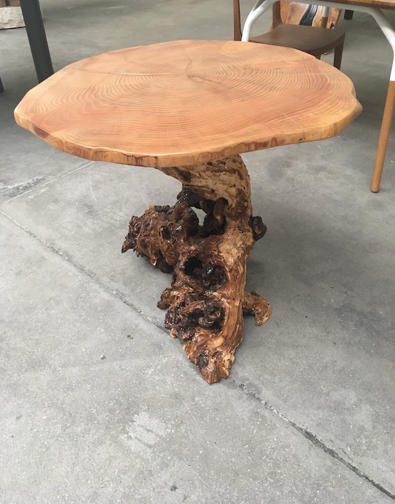 Coral Table Slice of Cedar Wood Top Tree Root Etsy