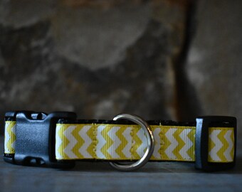 3/4" Yellow & White Chevron Dog Collar